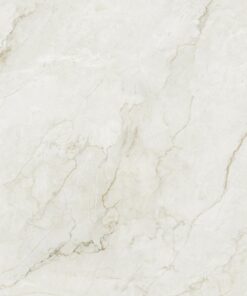 Camu white Stone wholesaler